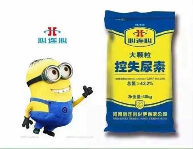 大顆?？厥蛩? border=